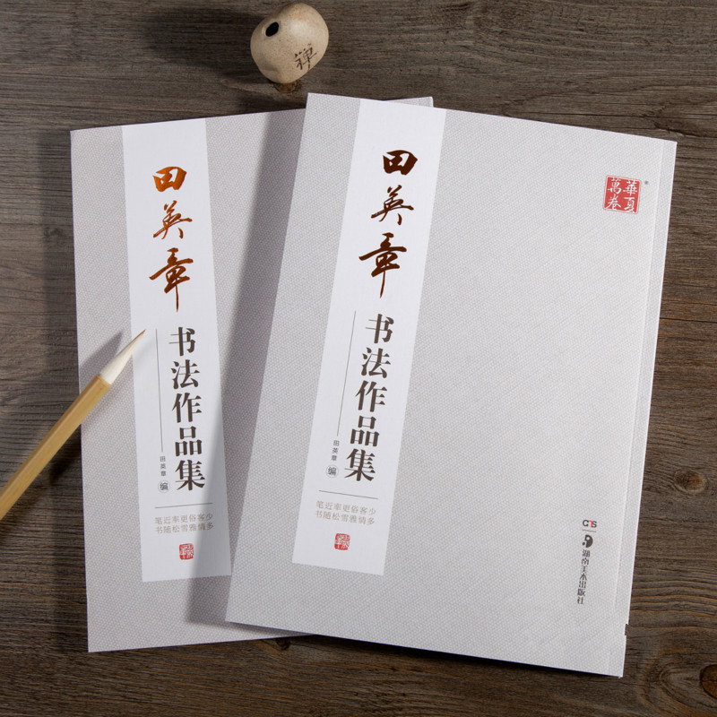 Ouyang Xun فرشاة الخط كتاب الت - مراجعة Chinese Calligraphy Practice Book وسعره
