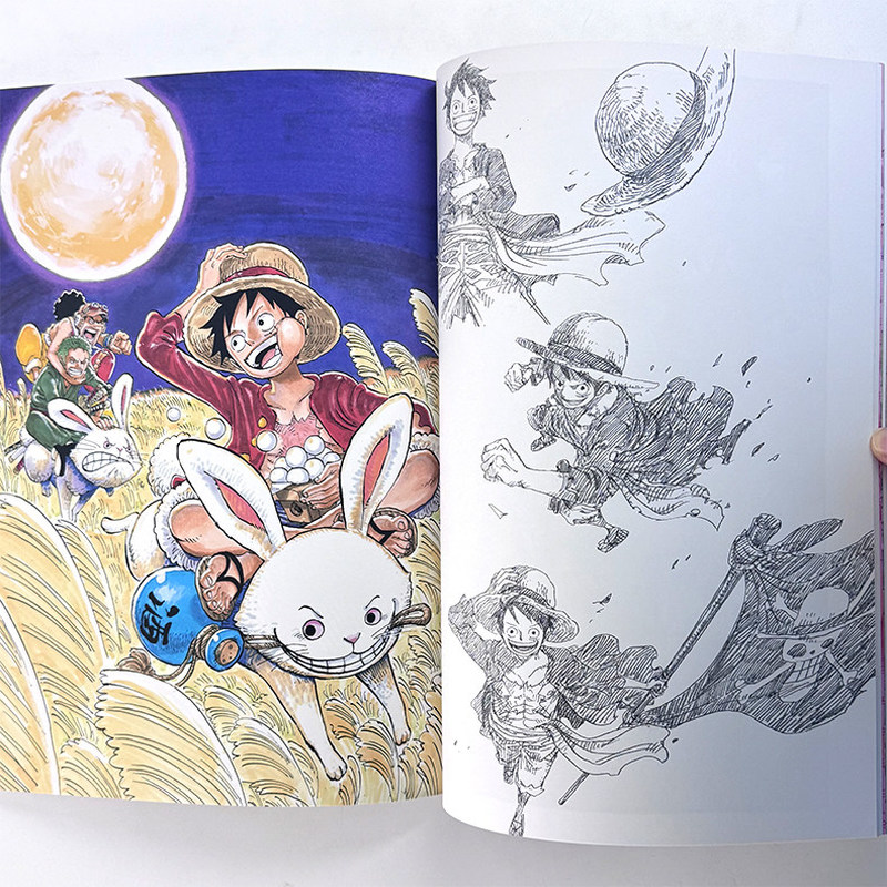 كتاب رسومات ون بيس: كولور ووك  - مراجعة Stationery Books وسعره